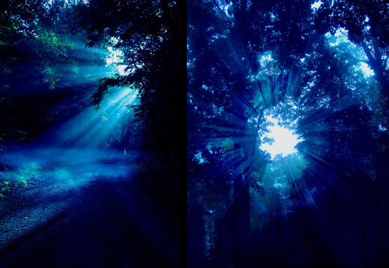 Matte paiting de la escena en el bosque. Las luces espectrales del escenario virtual potenciaban la estética de la pieza. Matte paiting de la escena en el bosque. Las luces espectrales del escenario virtual potenciaban la estética gótica de la pieza.